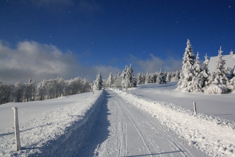 Bezecka trat pod Serlichem
