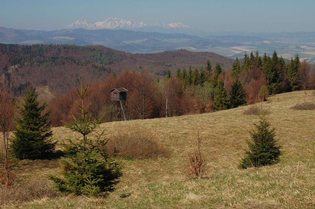 Pohľad z Malého Minčola na Tatry